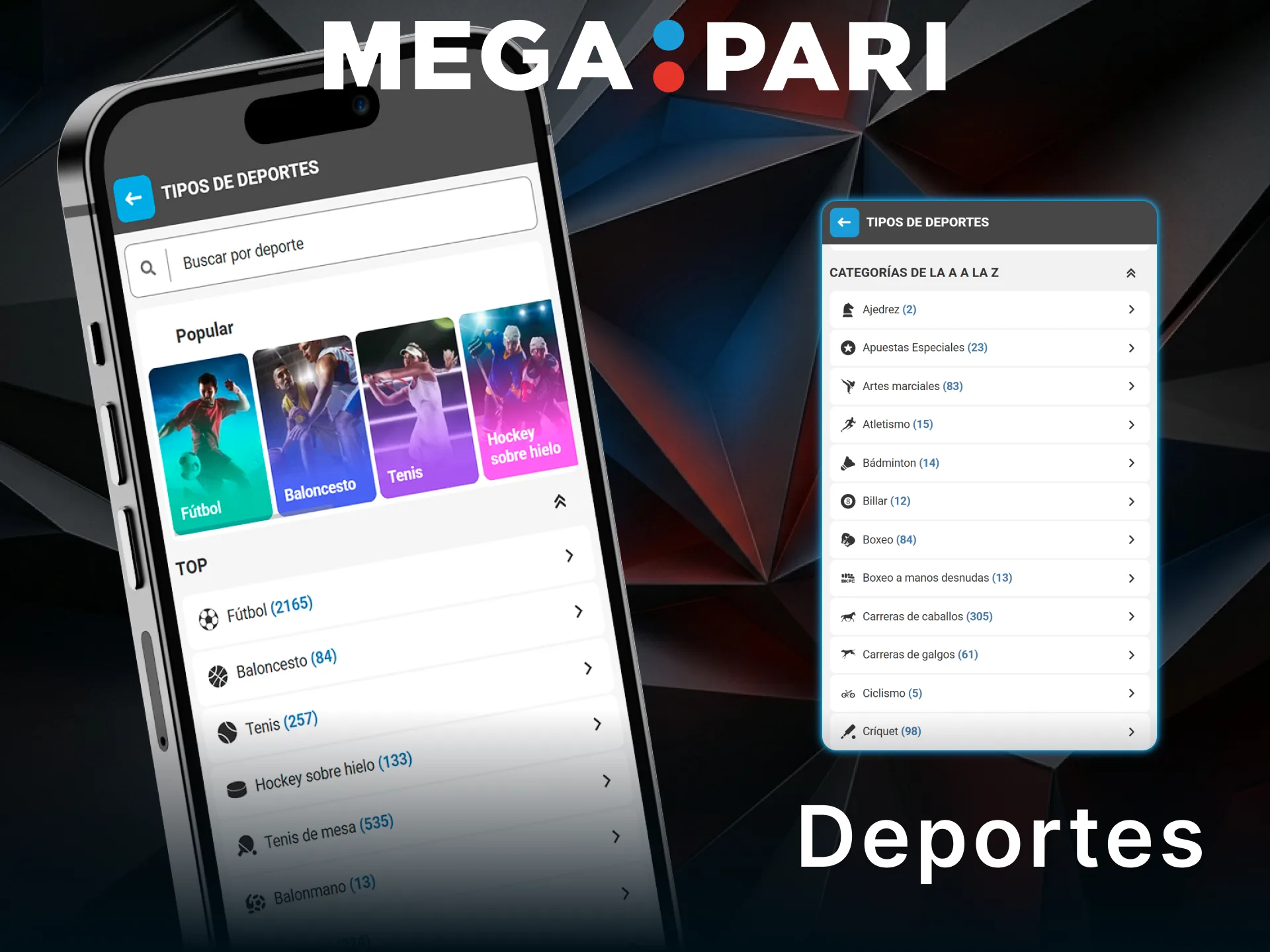 Explora la variedad de deportes disponibles en la app de MegaPari.